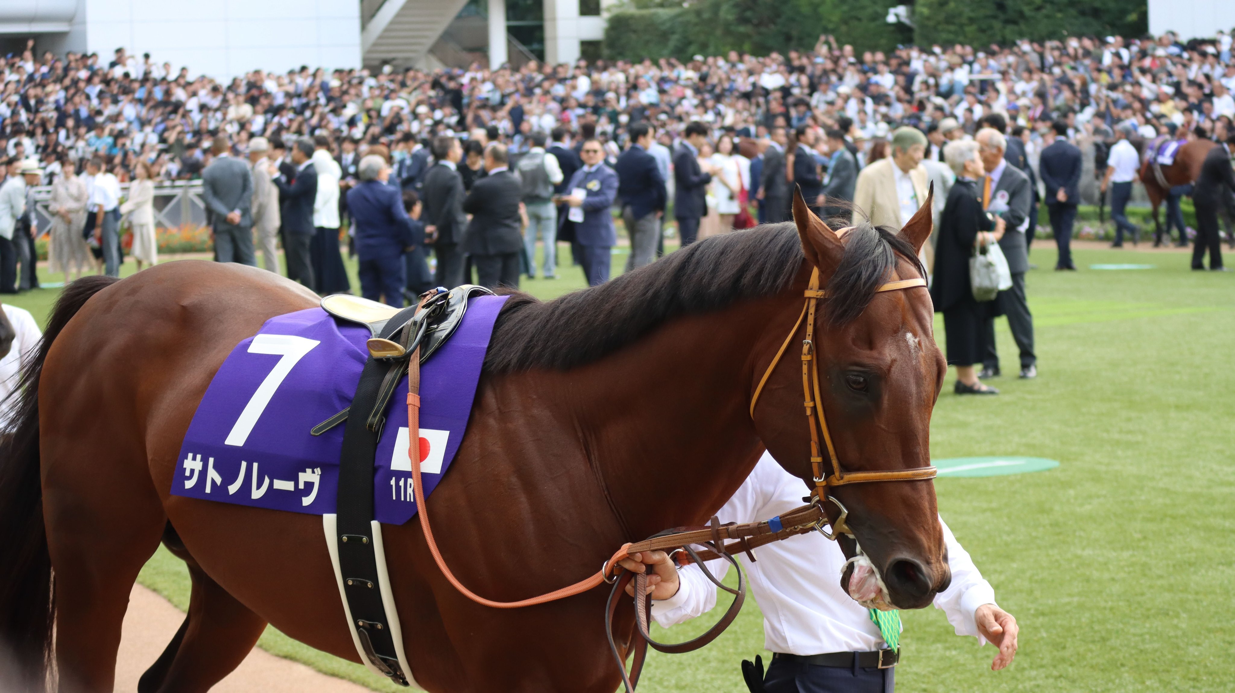 カールヤストレムスキー 入手困難 50枚限定 MLB150周年記念メダリオン カールヤストレムスキー 入手困難 50枚限定 MLB150周年記念