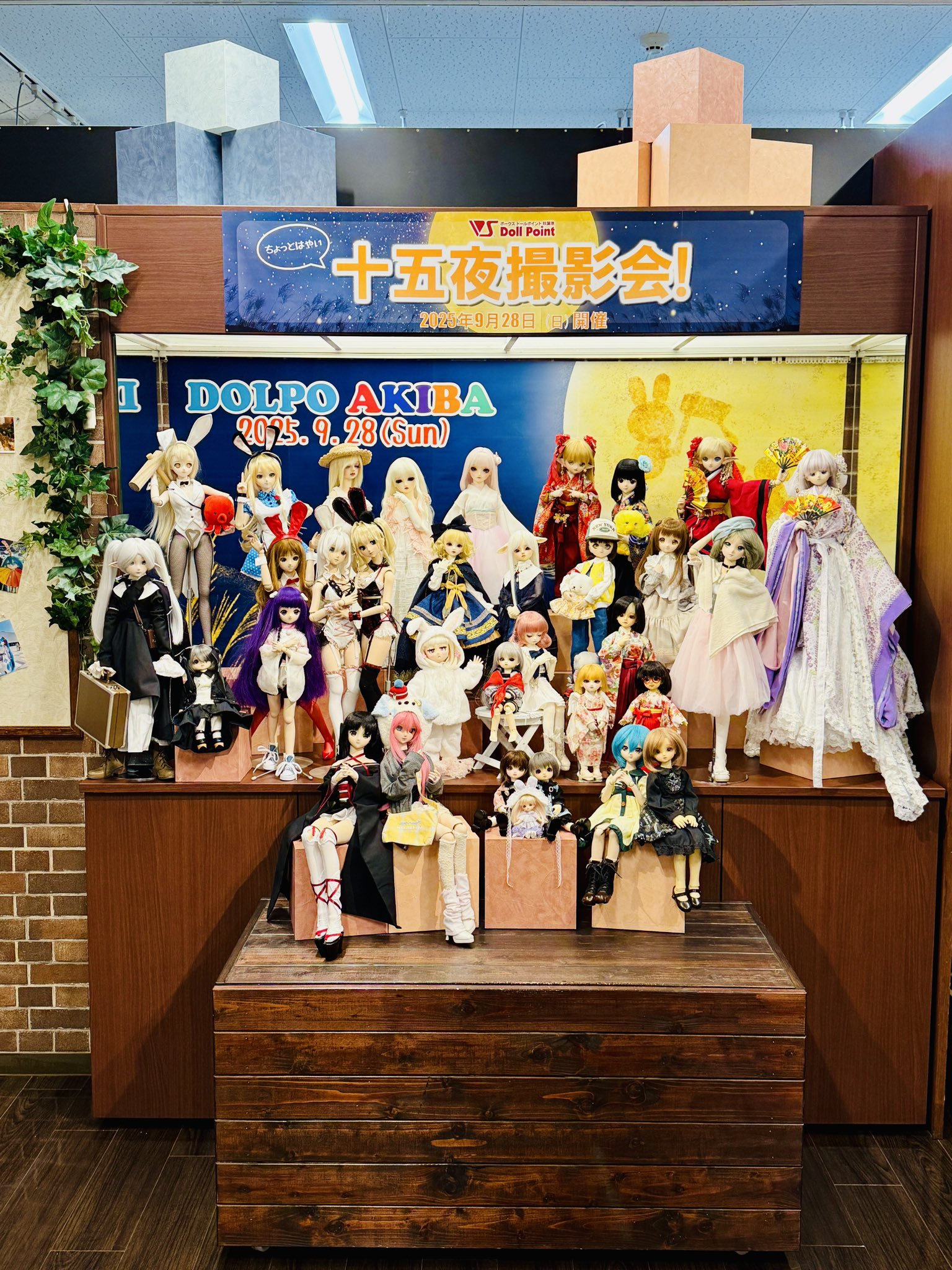 ちーくん様確認 AZONE INTERNATIONAL::えっくす☆きゅーと