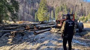 Editorial - Mediul: Trăim într-o groapă de gunoi și ne place? rascrucea.ro/2025/09/editor…