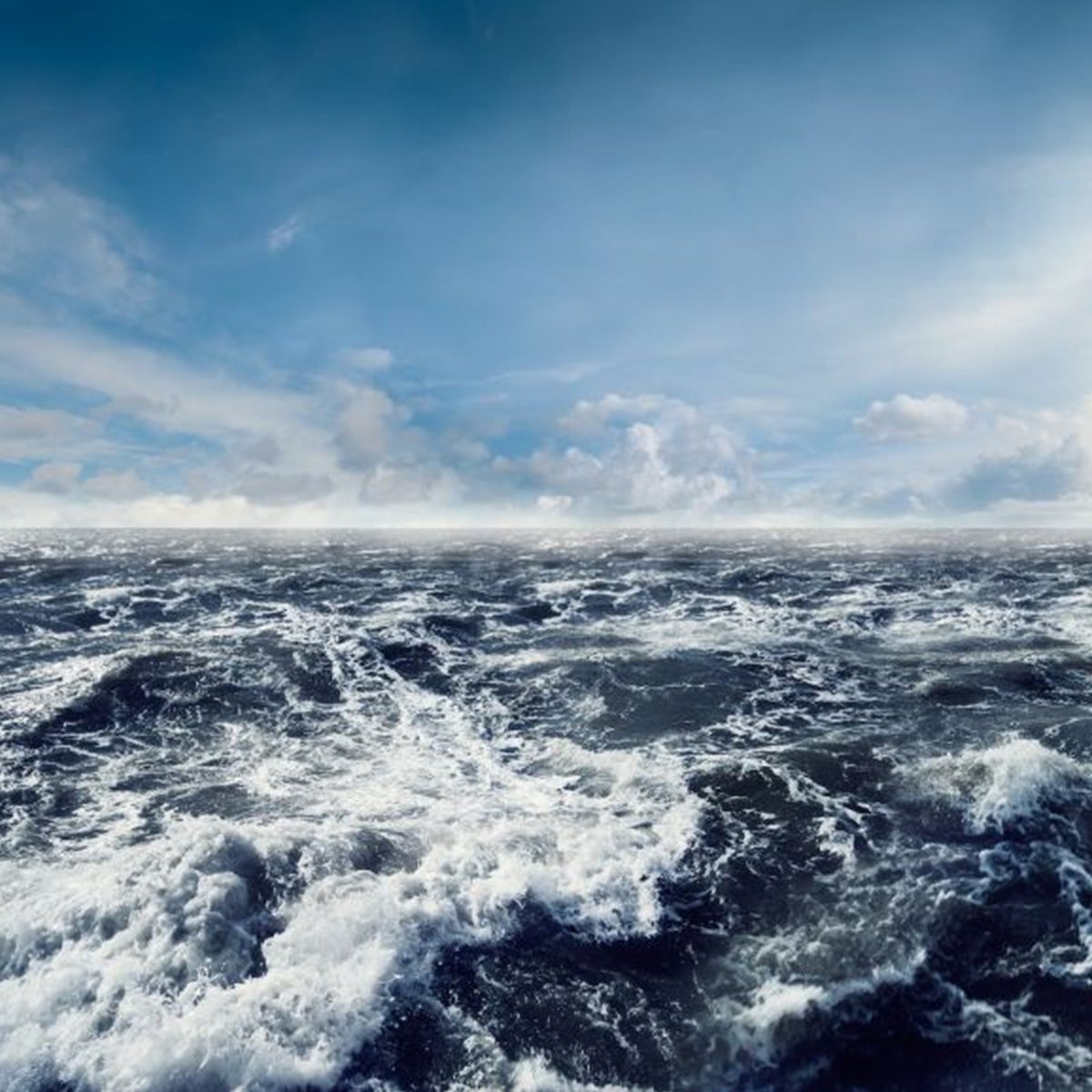 Leigh_Wright_'s tweet image. The antepenultimate Apollo Suite: Choose What is Divine. Includes strange wonders by @oklou_ @MortalityTables @suzyv @loulayorke @ela_minus @deadmau5 @facadelectronic @rosegray_ @fieldswefound @quietdetails_ wyrddaze.wordpress.com/2025/09/28/zad…