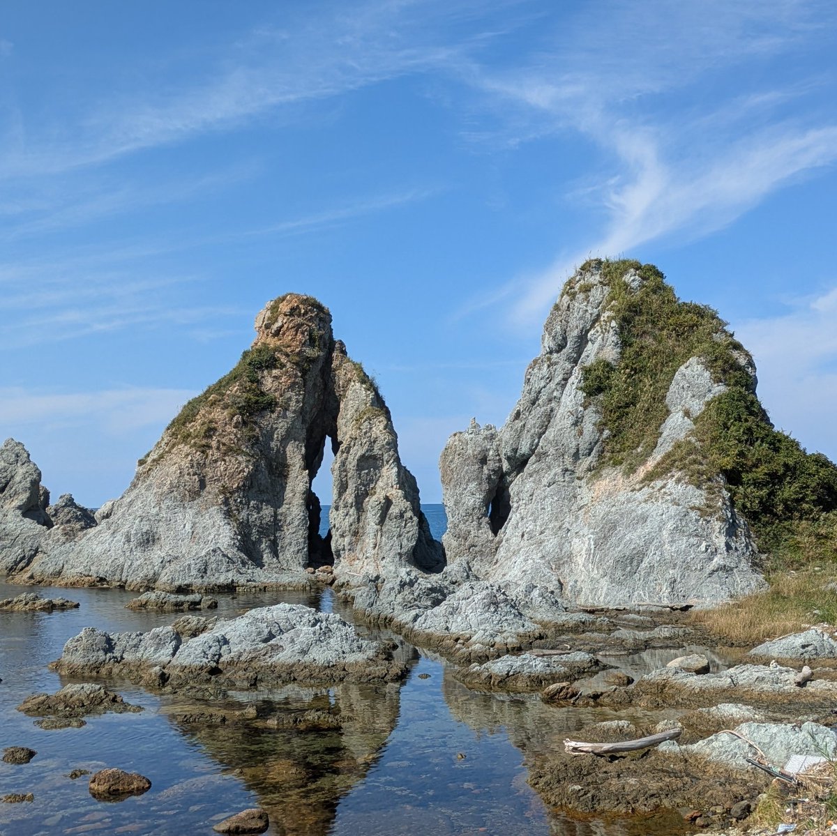 まもる🦷島の歯医者 tweet media