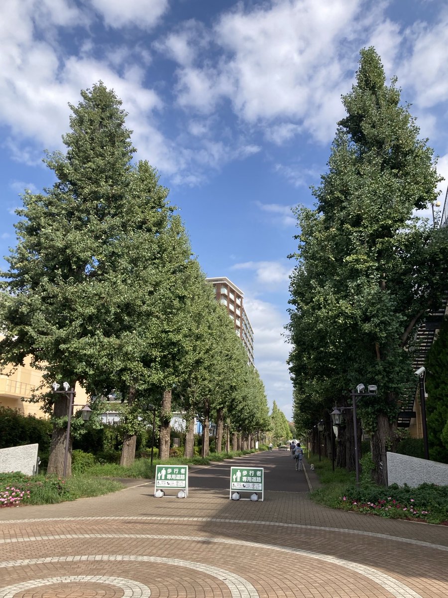 mach2000mach's tweet photo. 今朝はちょっと用があって昭島市へ。約9年ぶりでしょうか… でも昭島は変わらず綺麗な空気と程良い人の往来で心を落ち着かせてくれる魅力ある街です。

#昭島市　#森タウン昭島 https://t.co/DrzcgX8xgA