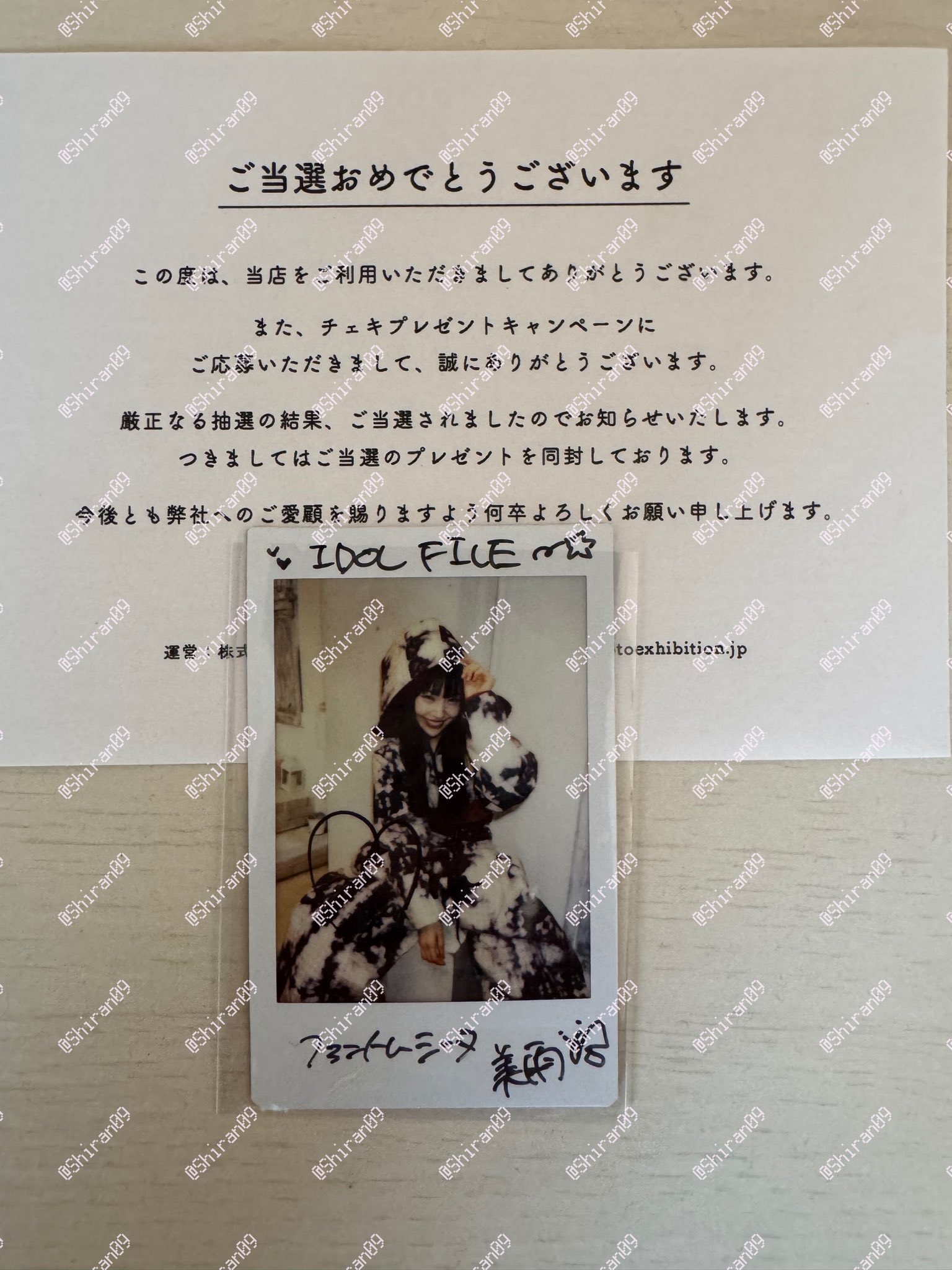 紫蘭 《姫の付き人》 on X: 