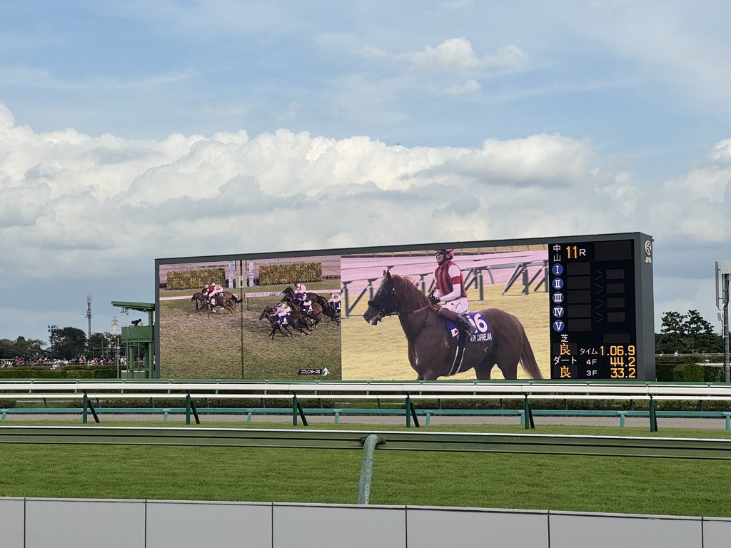 ノリタケ 競走馬跳馬 Noritake ノリタケ 競走馬跳馬 スタジオ