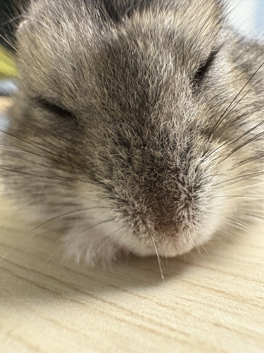 자는 영히 얼빡 ㅎㅎ