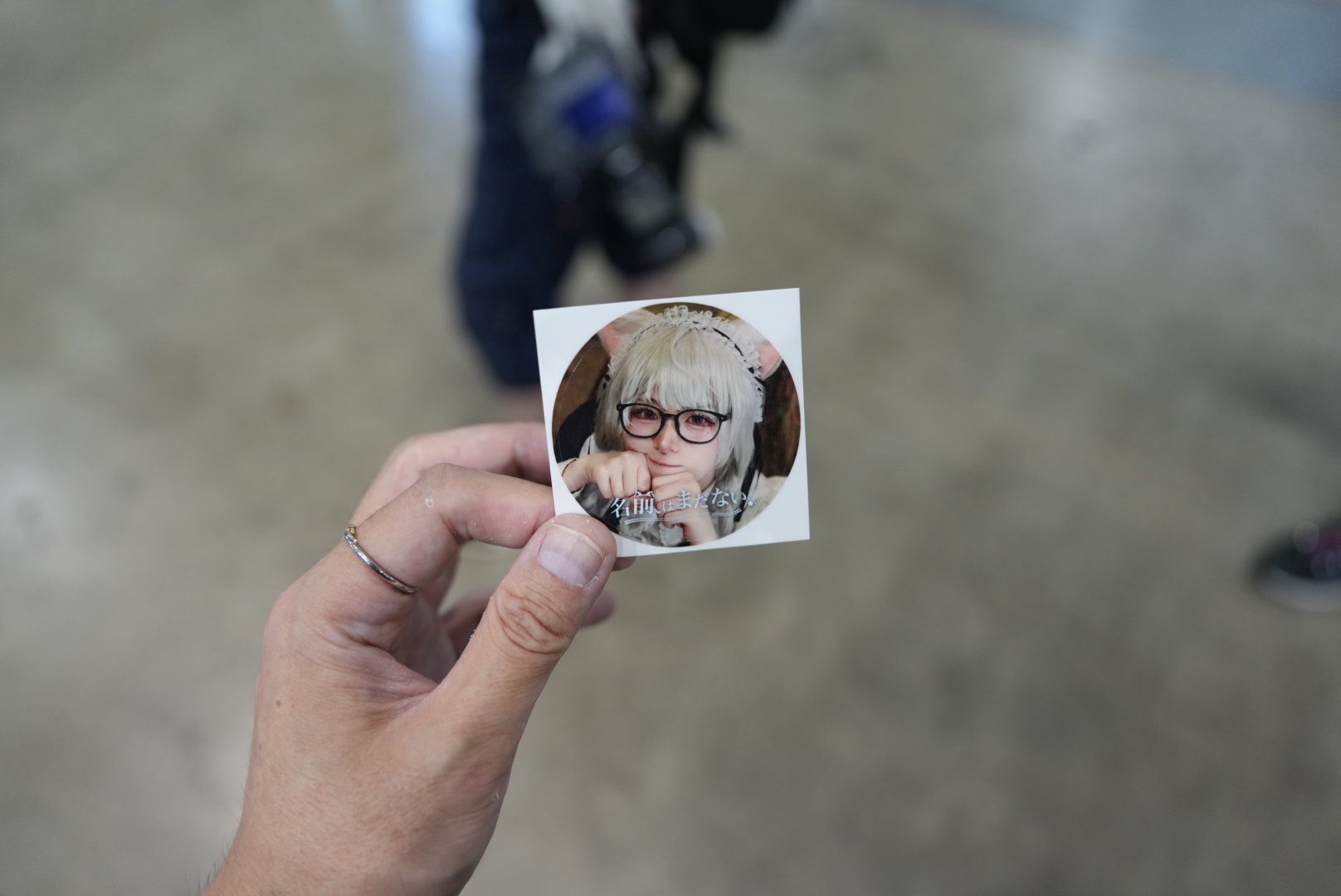 【激安】大原女の袋帯(猫に小判)1401 激安】大原女の袋帯(猫に小判)1401 - メルカリ