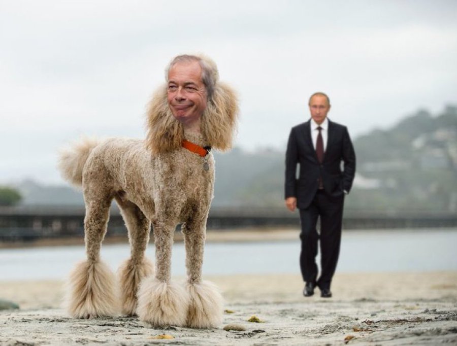 reformexposed's tweet image. Here boy.