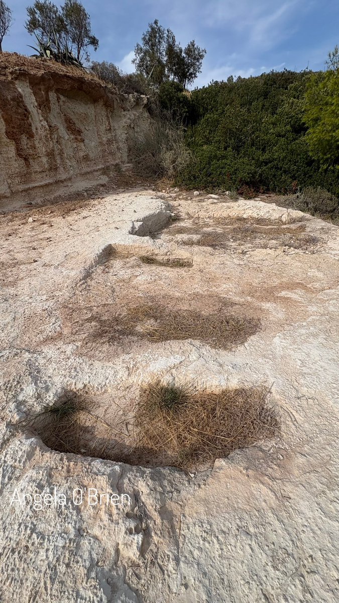 Mycenaean Cemetery, Skaloma, near Loutraki, Greece. We found this purely by accident when we took a wrong turn on the way to Perachora. There it was, just at the side of the road. We couldn’t believe it! The ground appears to be made of chalk here, so over time the graves have
