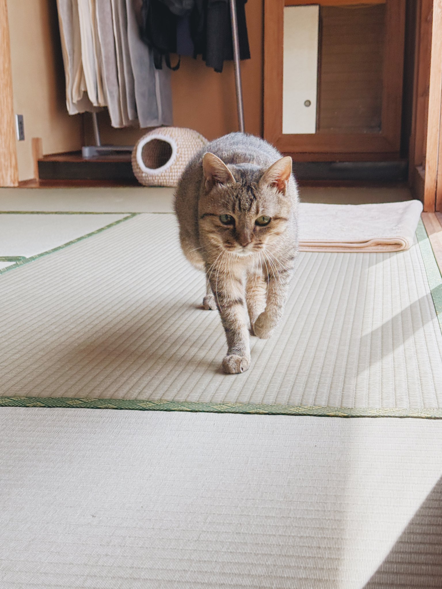 まるひページ PEEK(ピーク) スペーサー 丸型オスメスネジ BRPE-0000 - ねじ