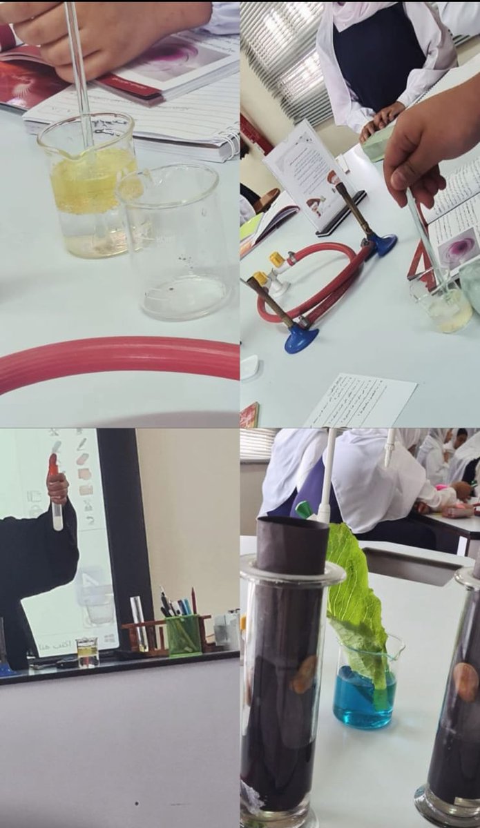 تضمنت زيارة أ. نصرة الكلبانية لمدرسة المحيول حلقة نقاشية حول الإستفادة من التحليل الكمي والنوعي لتطبيق مبادرات داعمة  للتحصيل الدراسي وتم التطرق إلى كيفية حساب نسبة الإتقان للمادة ،وحضور موقف صفي في الكيمياء للصف9 لعبت الطالبات فيه دور الباحثة الصغيرةتجرب وتكتشف لتصل إلى المعرفة.