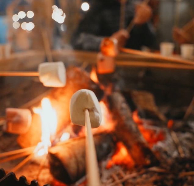 🎃👻 Looking for spooktacular Half Term fun?
Pumpkins, potions, broomsticks &amp; more across Devon’s Top Attractions!
👉 What’s On buff.ly/6YDFmIg 
#Halloween #HalfTermFun image at Pennywell Farm.