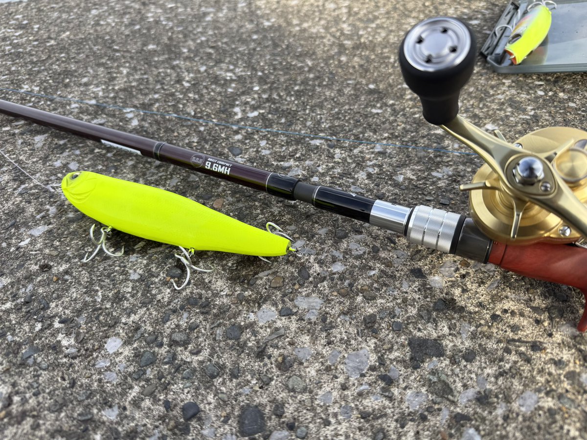 kyuuri様確認用 規格外きゅうり用】#20×12号(4穴) | 株式会社堀江本店｜株式会社