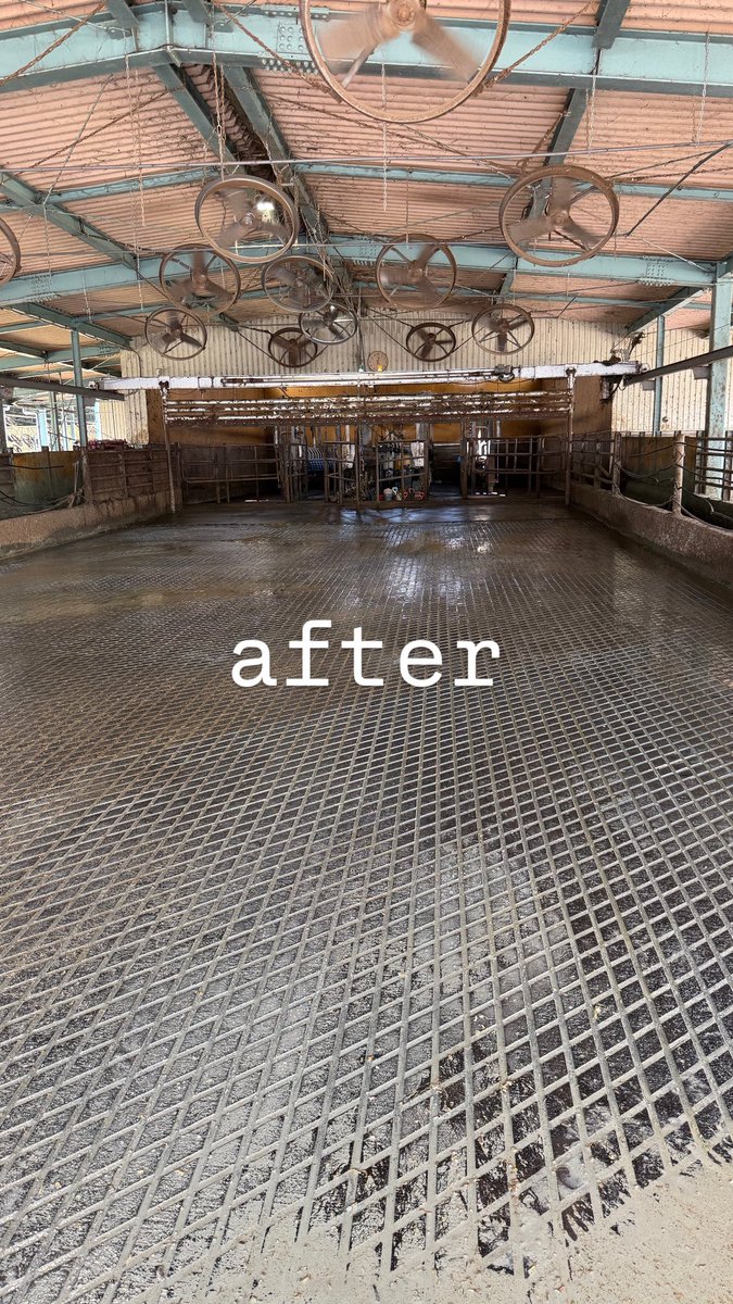 昨日の夜勤を経て、無事に搾乳パーラーの待機場の滑り止めが終了しました🐮
縦溝だけでも滑らないのですが、待機場は牛が過密になる場所なので今回はクロスカットをしました。
バタバタしましたがいい仕事ができました！