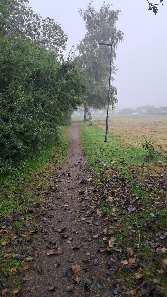 Söndagspromenaden ✅️