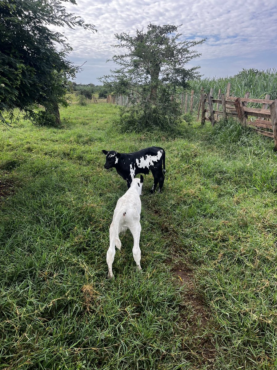 Good morning from these two cuties 😍