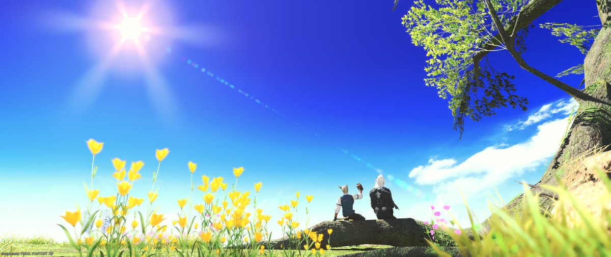 るか@低浮上 tweet media