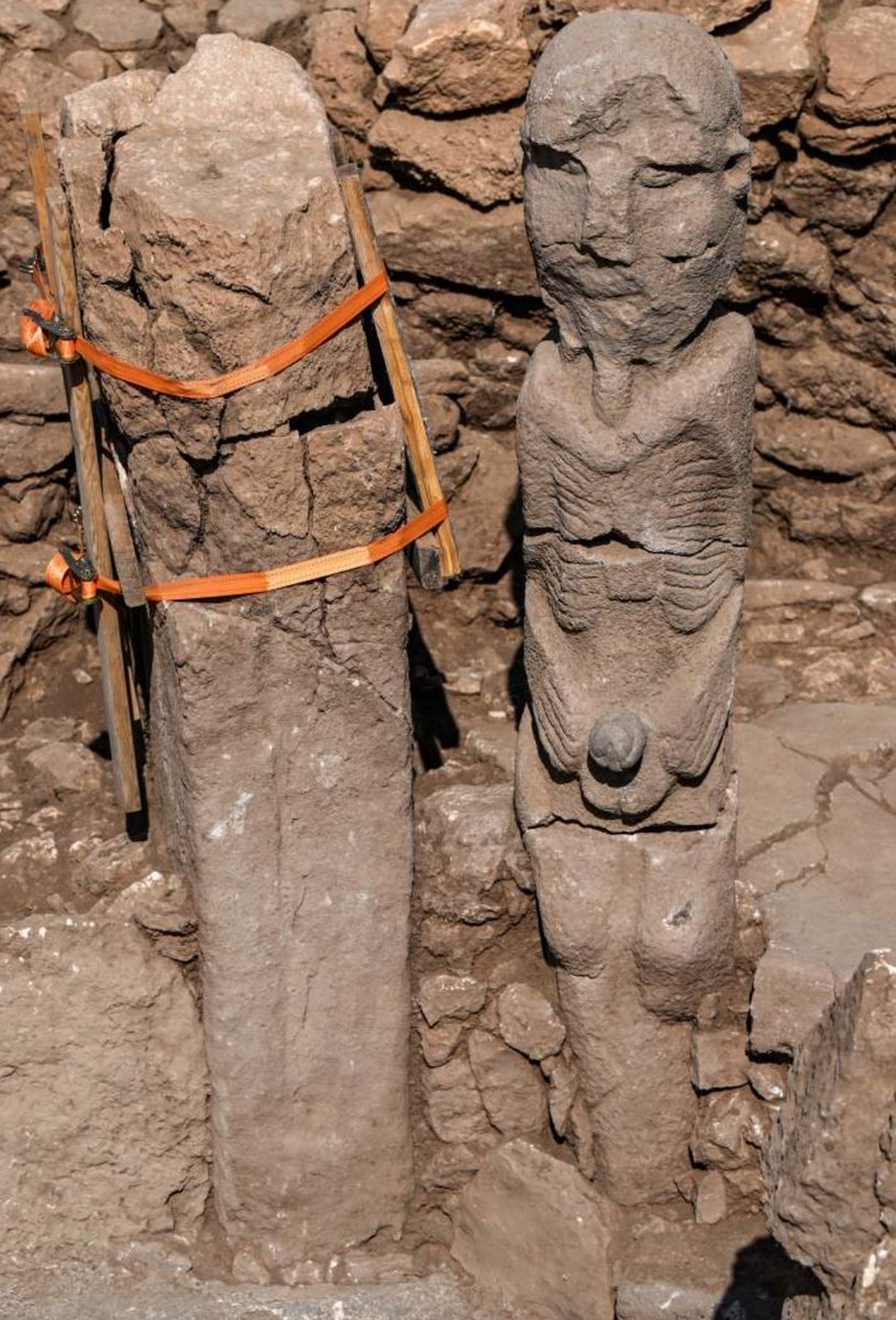 Goode oilasi porno Soqollanmagan semiz mushuk surati