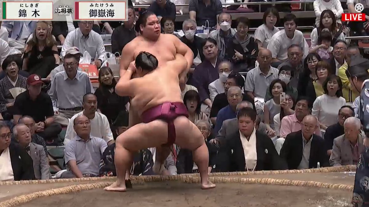 千秋楽、錦木関、寄り切られました。

脇が甘いとか腰高とか、錦木関の悪い所全部出てます。笑

また十両からやり直しだろうけど、錦木関ファンの皆様、温かく見守ってあげてください！
まずは稽古だ！🤣

今場所、二勝十三敗で終えました。

ファンには錦木関の白星が元気の源なので

お疲れ様でした