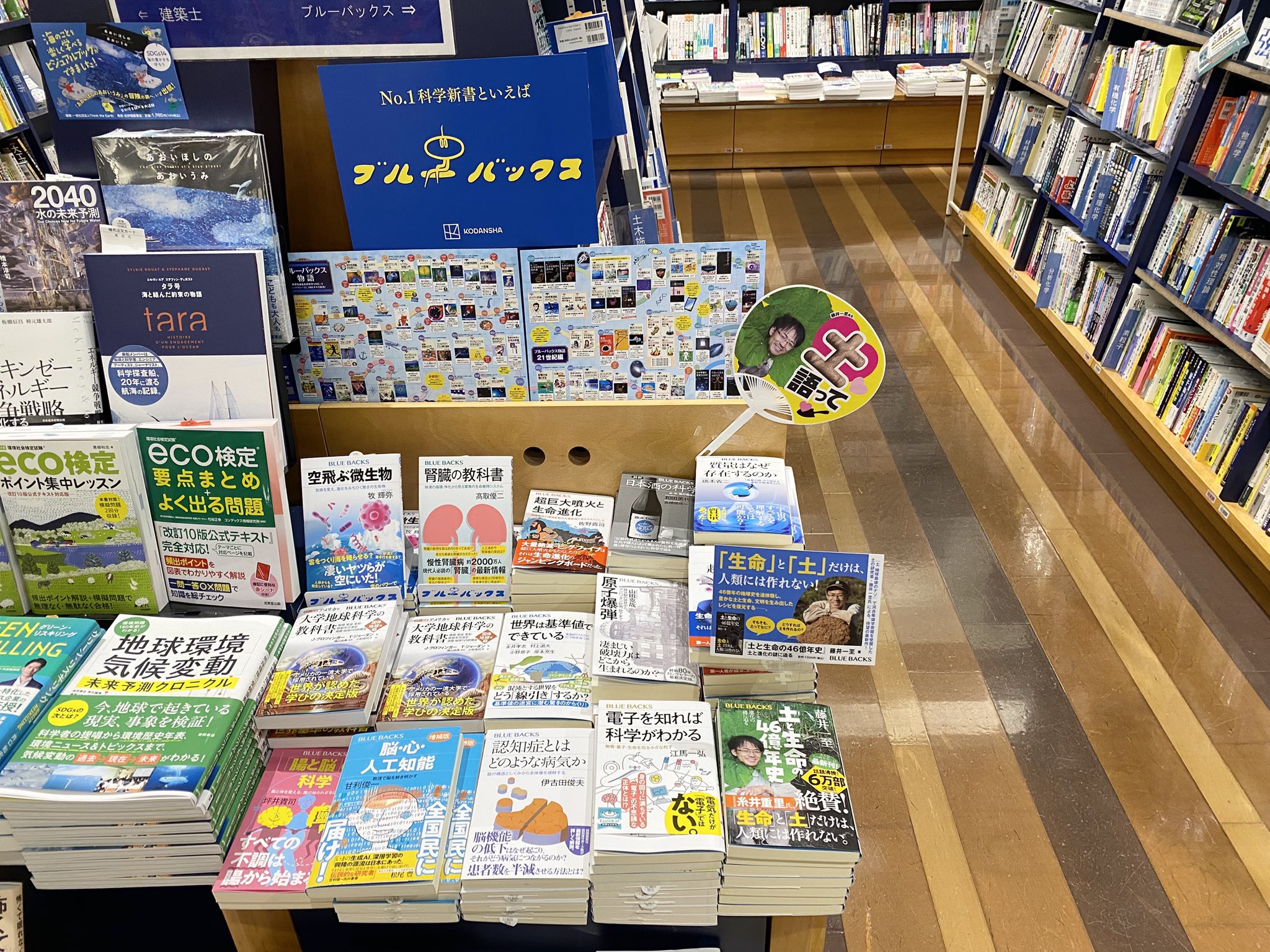 かもめの城 ('65仏/米) DVD 廃盤 紀伊國屋書店 719+IGcbVAL._AC_SY200_QL15_.jpg