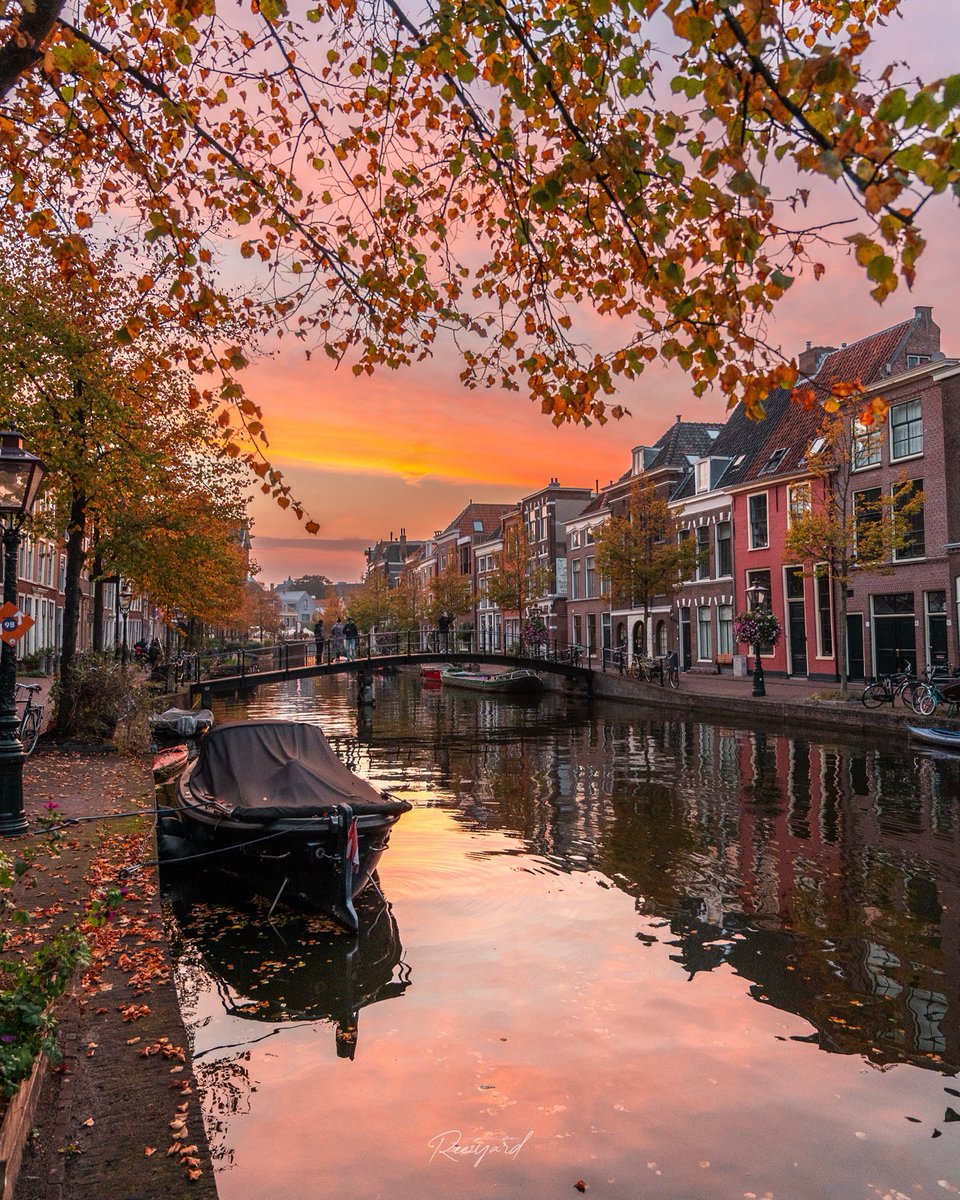 De herfst is nu toch wel echt gearriveerd in het land. 🍂 

Foto gisteren genomen langs de oude Rijn in Leiden. 

Fotografieliefhebbers kunnen mij ook volgen op Instagram.com/reezyard.