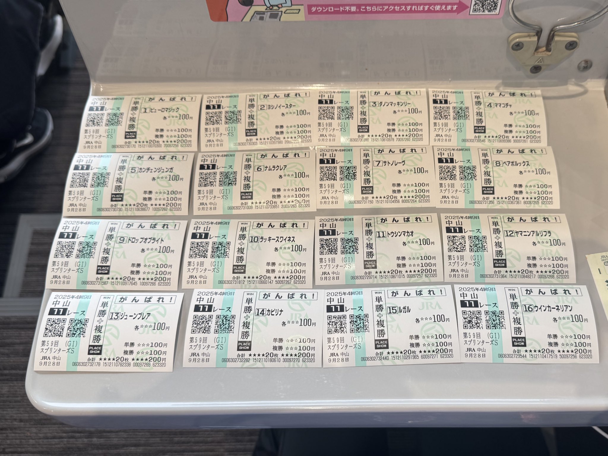 ファインモーション全15戦現地購入馬券 しほ🐴🪽 on X: 