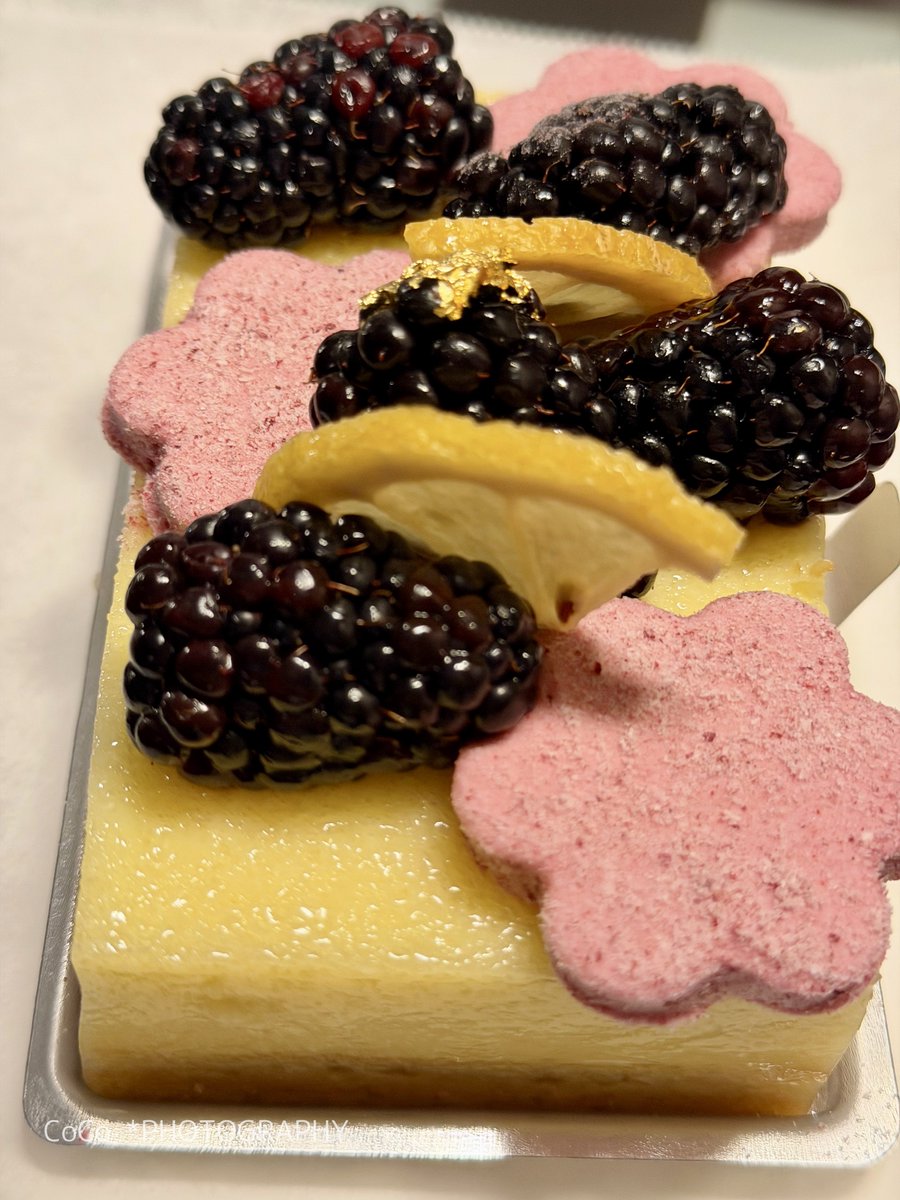 coco出品になります。 COCOA-SUB5.jpg?v=1696641709&