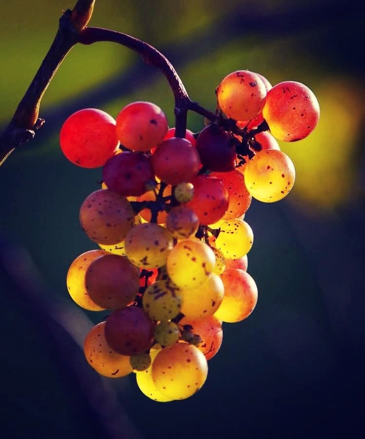 Haevn &amp; Neco Novellas
Caught a light 
youtu.be/yFRHcPd9FE0?si…