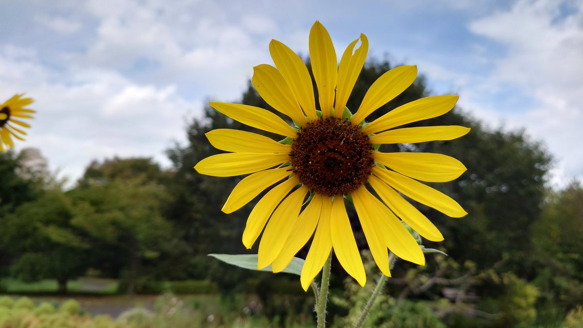 _dee_hii's tweet image. 今日も一日無事におわりました

自然がいっぱい
緑がいっぱい
お花がいっぱいの公園へ☀
良い気分転換になりました🍀

みんなおつかれ