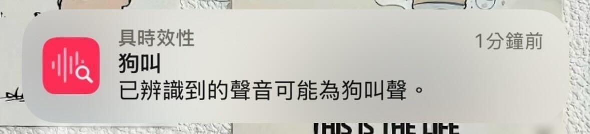 𝘒𝘖𝘕𝘖𝘒𝘐🍁(੭•̀ᴗ•̀)੭(飯控前AFK🪫) tweet media