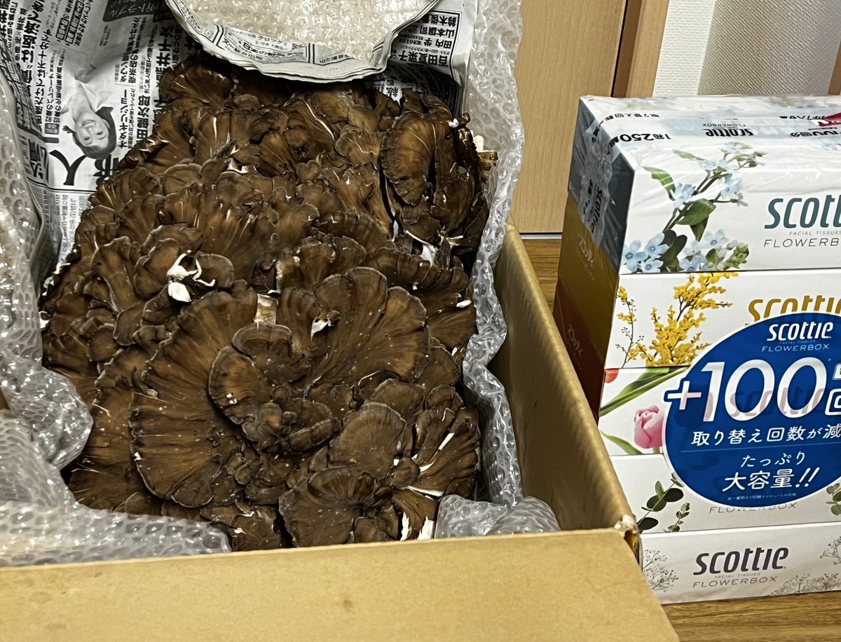 SACHINIIIII tweet media