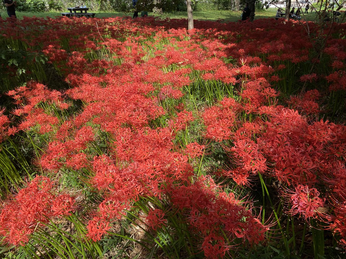 大木島自然公園