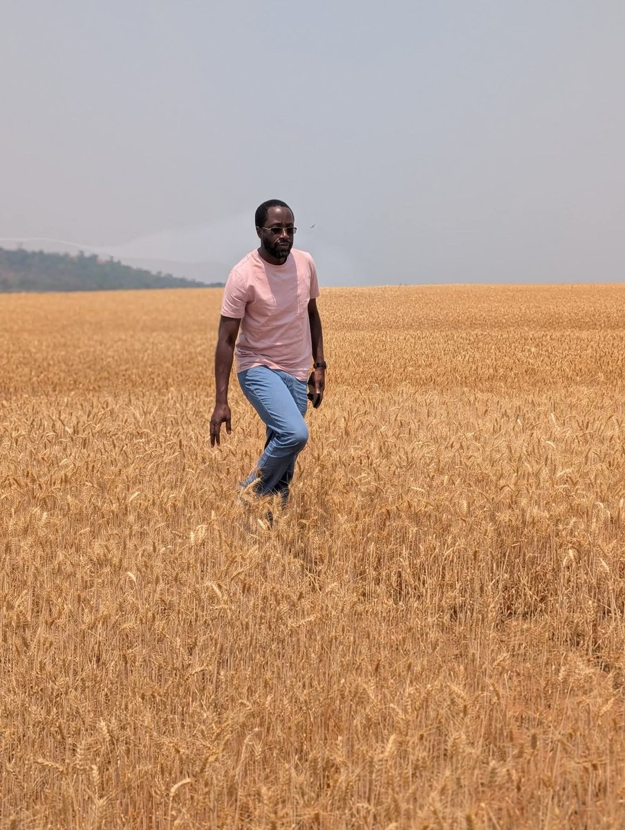 My boss Clive Ombane Gisairo at his farm in DR Congo. He loves farming.  MP Kitutu Masaba.