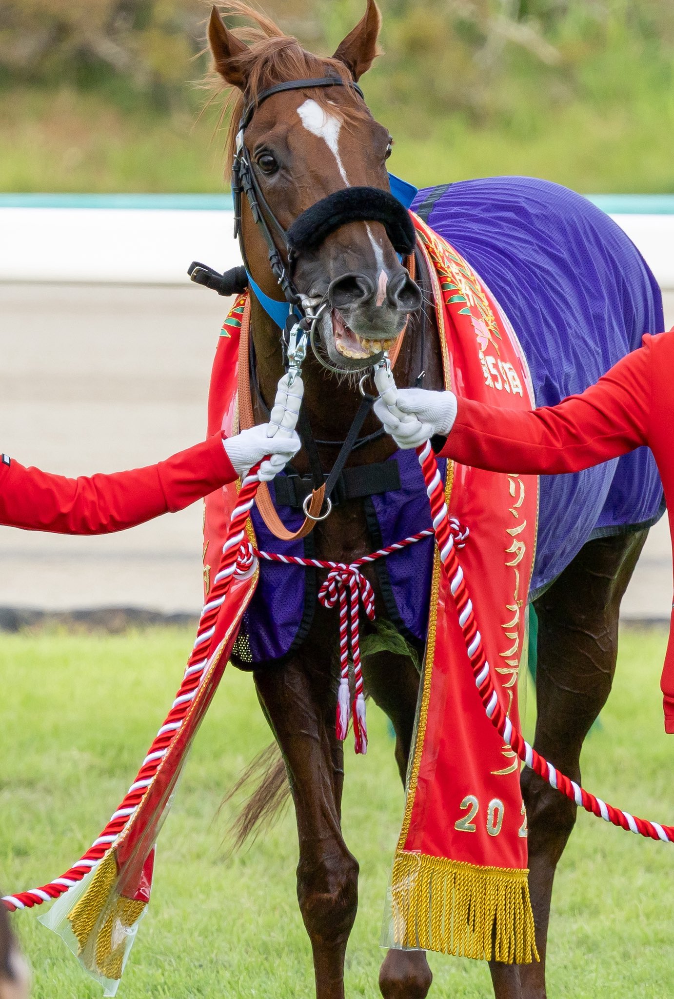 ダイタクヤマト 00年 スプリンターズS 16番人気 的中単勝馬券　全頭セット ダイタクヤマト 00年 スプリンターズS 16番人気 的中単勝馬券 全