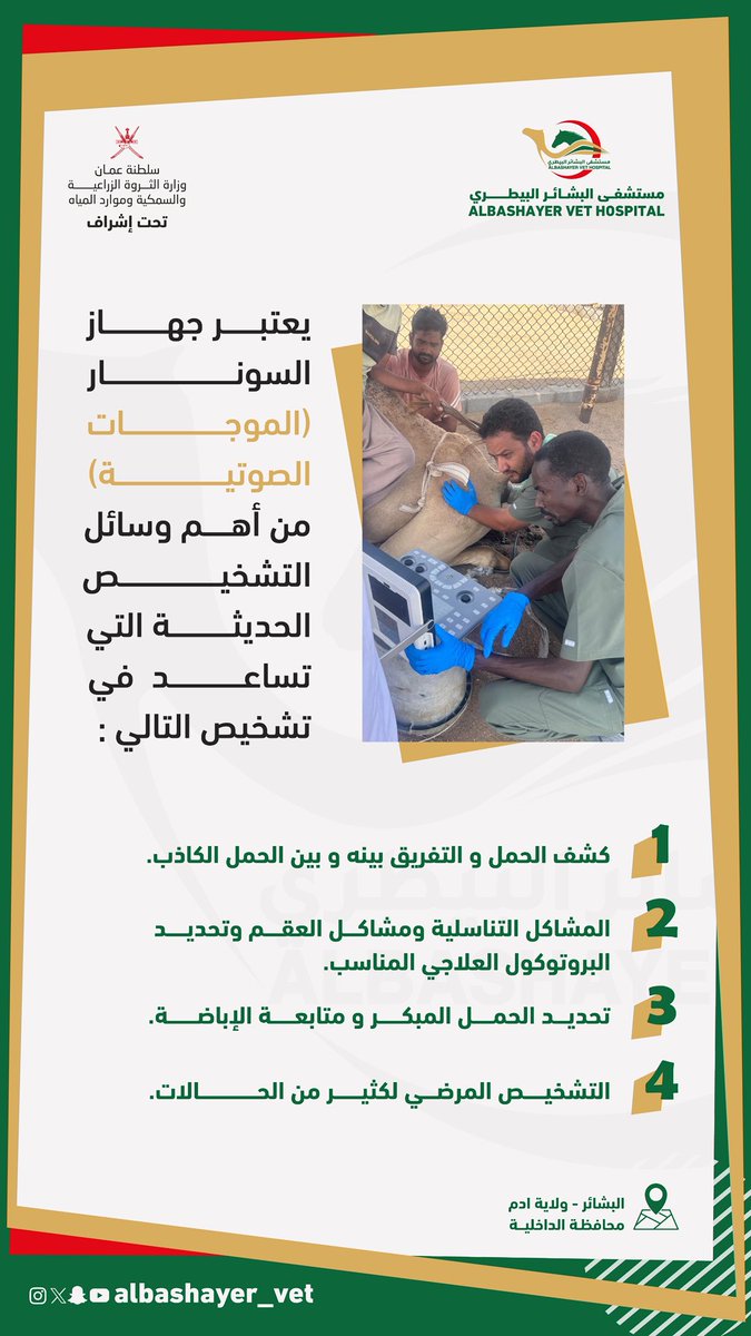 يعتبر جهاز السونار (الموجات الصوتية) من أهم وسائل التشخيص الحديثة التي تساعد في التشخيص.
#مستشفى_البشائر_البيطري