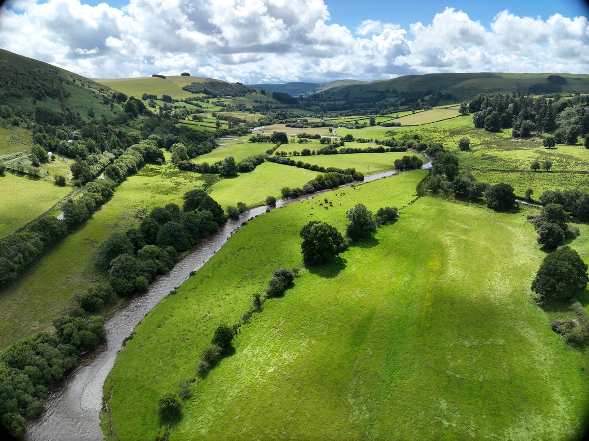 AdferGwyUchaf's tweet photo. 💙 It’s #WorldRiversDay!
We’re celebrating the Wye - one of our most iconic and cherished rivers.
To mark the day, the team has shared their favourite shots from the Upper catchment, showing its beauty & significance. #RestoreUpperWye https://t.co/fwvu9VKxBr