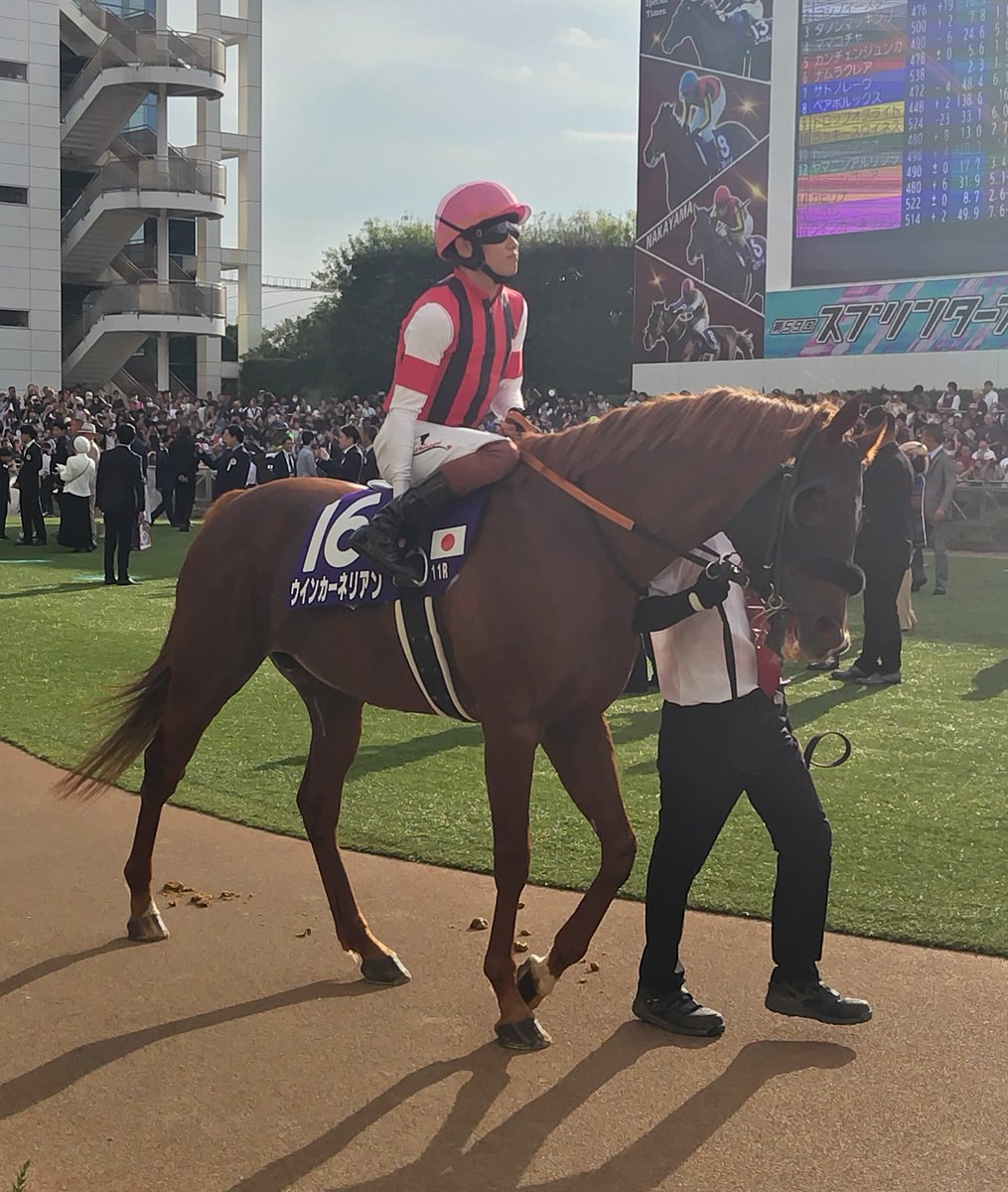 G1馬の証🌟 星付きG1馬ゼッケンになったウインカーネリアン💎 その