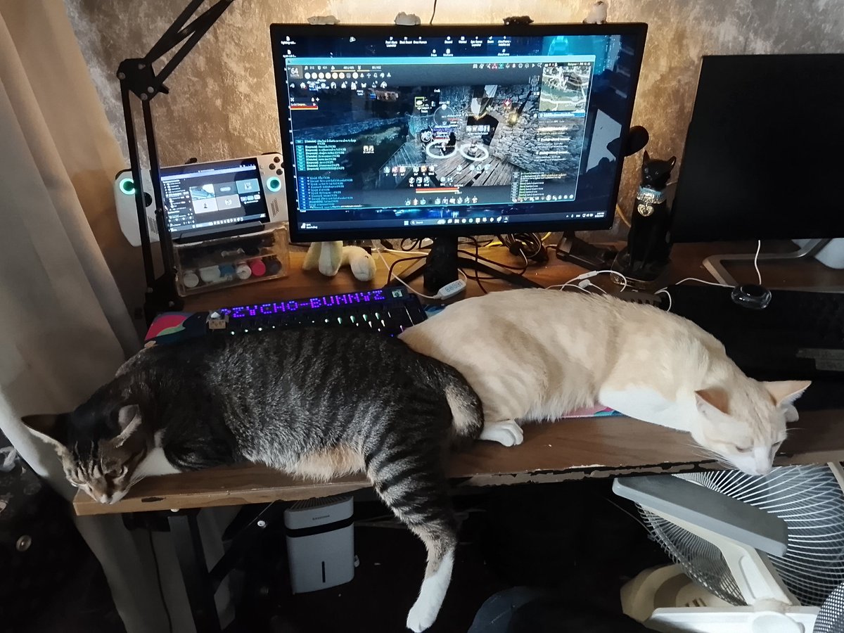 ลดไซซ์คีย์บอร์ด
เพื่อพื้นที่วางเม้าส์เล่นเกม ❎
เพื่อมีที่ให้แมวนอน ✅