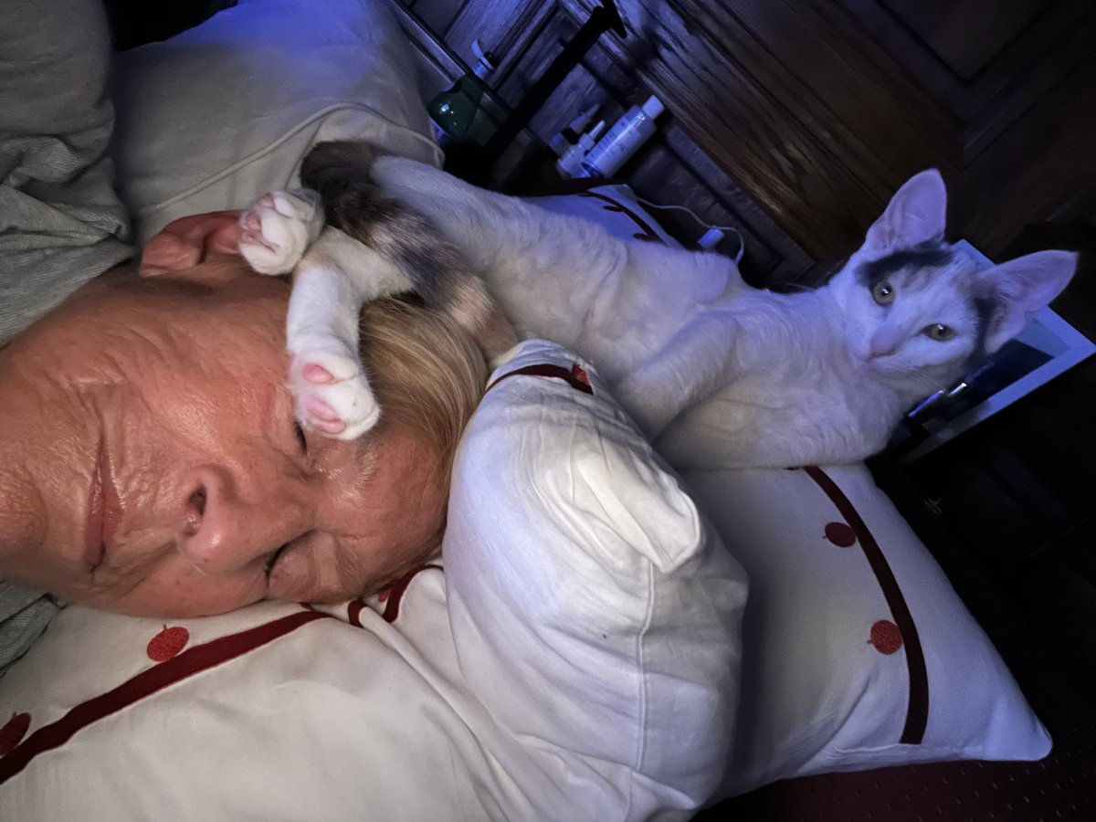 Isabelle Balkany tweet media