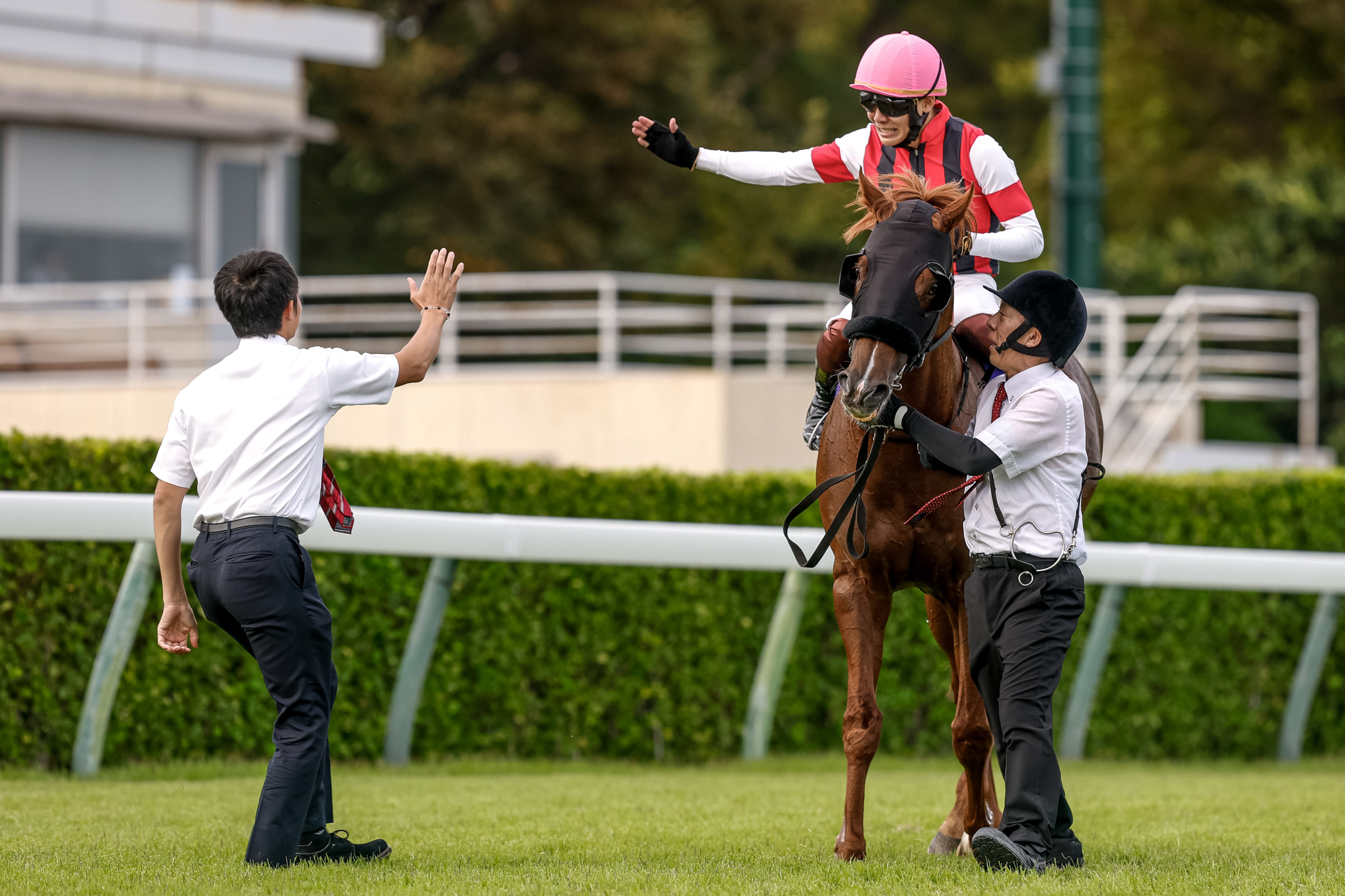 鹿戸厩舎 オリジナルジャンパー エフォーリア LL 競馬 ウマ娘 鹿戸厩舎 オリジナルジャンパー エフォーリア LL 馬 競馬 ウマ娘
