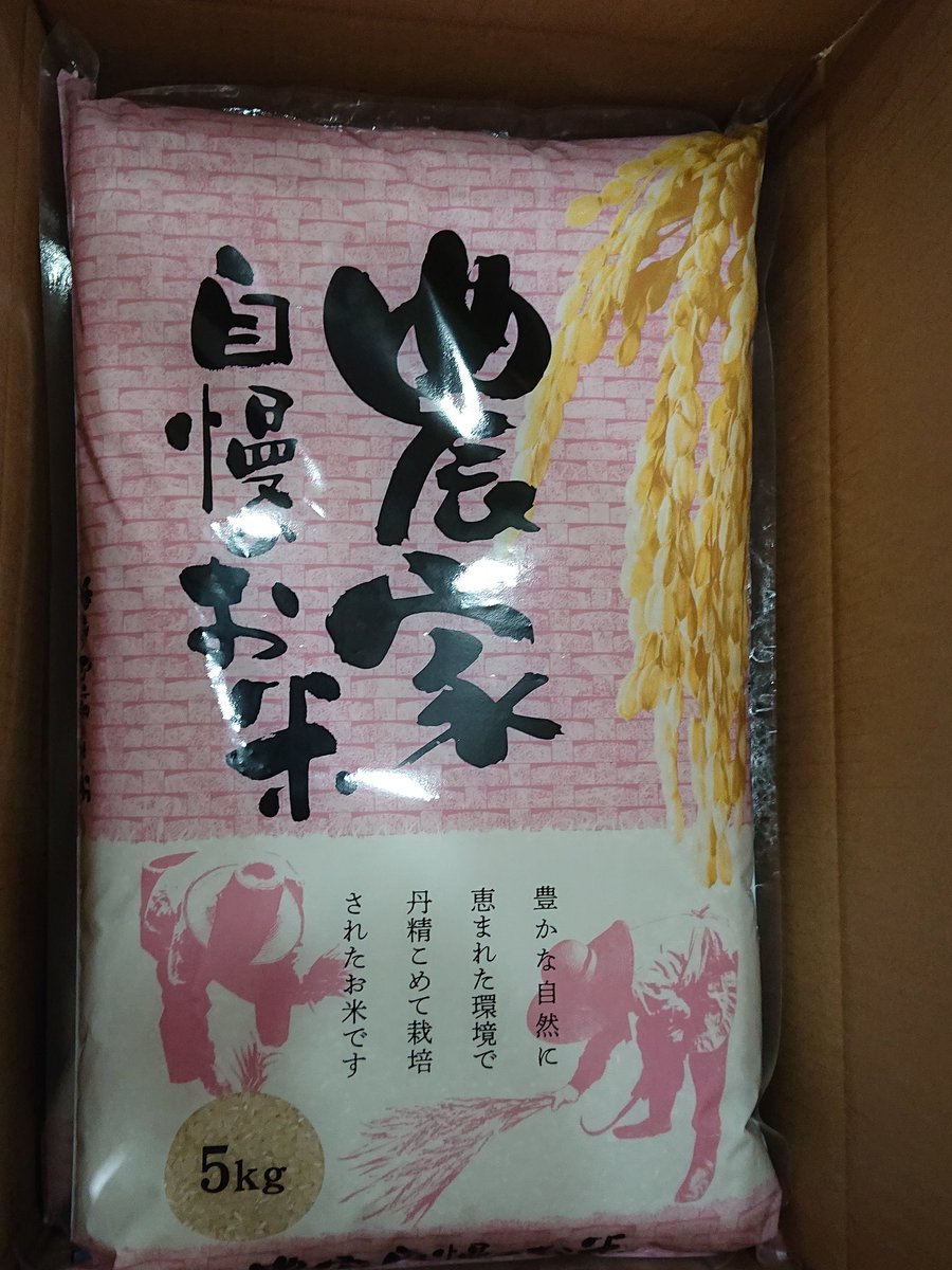 作者不明　米○人　　秋　　肉筆 作者不明 米○人 秋 肉筆 コレクション