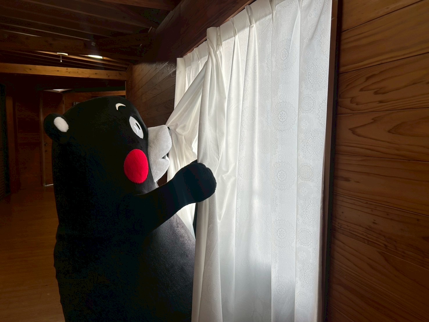 くまモン⭐️値下げ中 sddefault.jpg