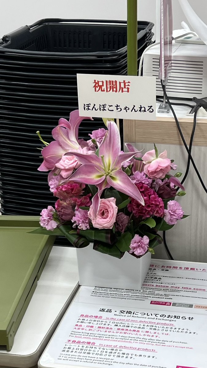 我々は、ぽんぽこちゃんねるの祝い花が「ダイソー アルカキット錦糸町店」に有るとの真偽を確かめるため、アマゾンの奥地へと向かった。