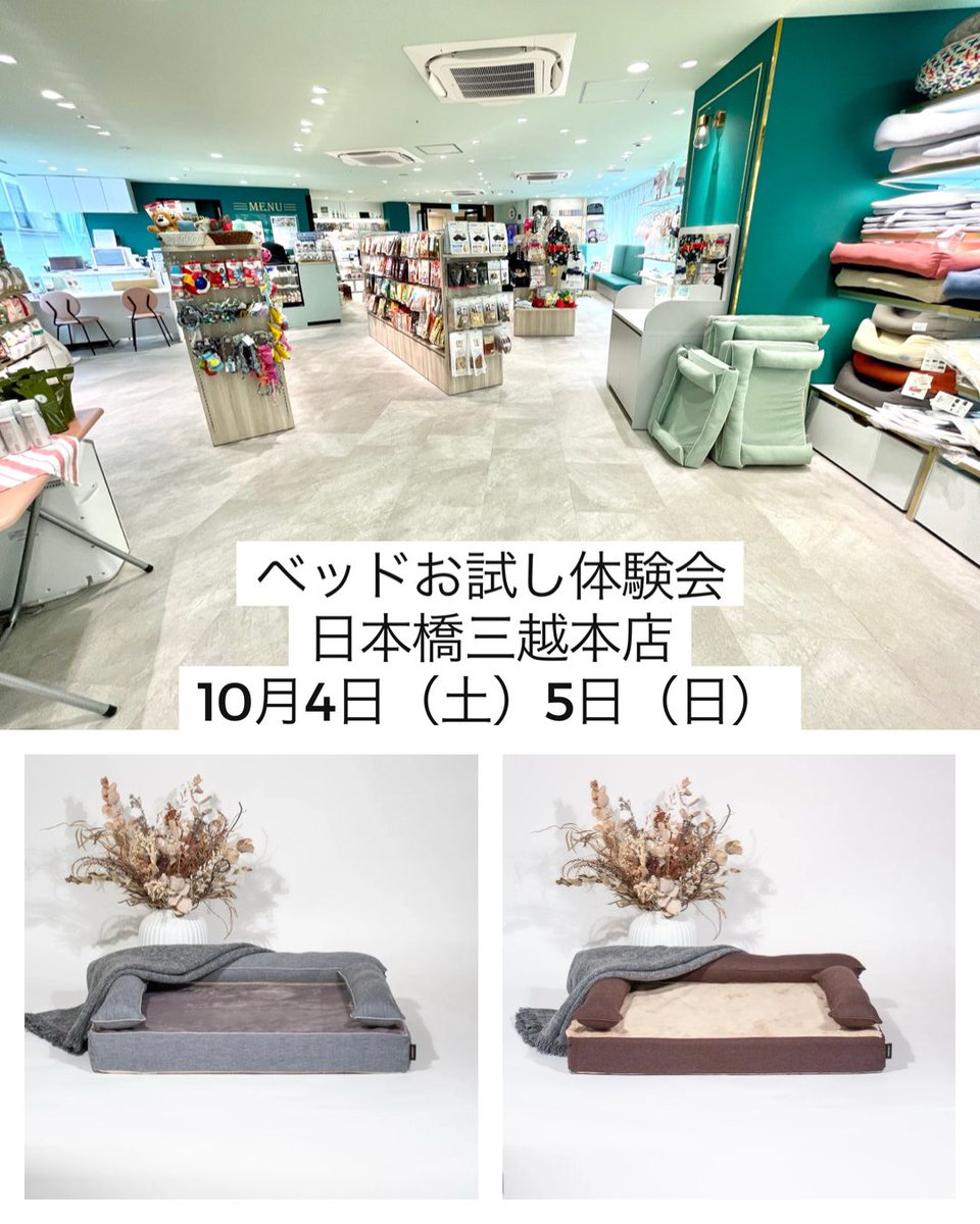 愛犬のベッドお試し体験会のご案内です🐶🎶10月4日（土）、5日（日）　日本橋三越本店のジョーカーにて✨ぜひ愛犬と一緒にご来店ください🐶