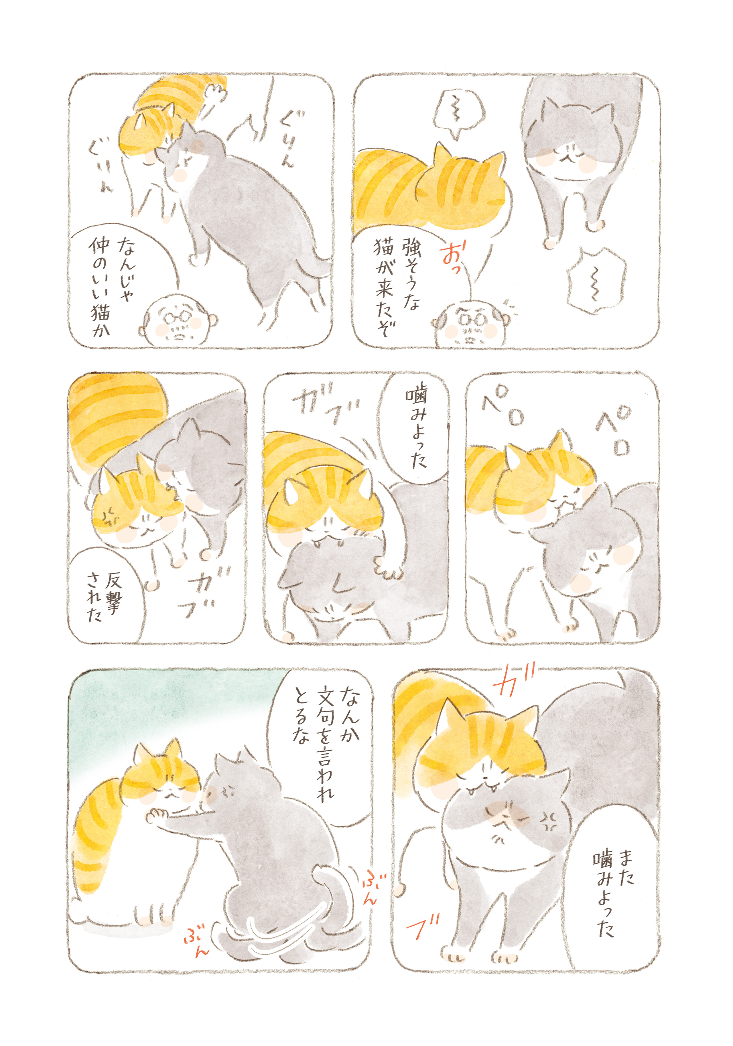 まきちゃんさん専用5 Amazon.co.jp: リカちゃん ドレス LW-22 ミキちゃんマキちゃん