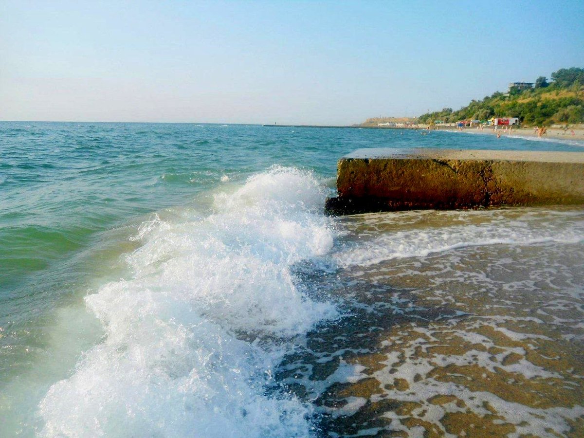 Катерина Галич tweet media