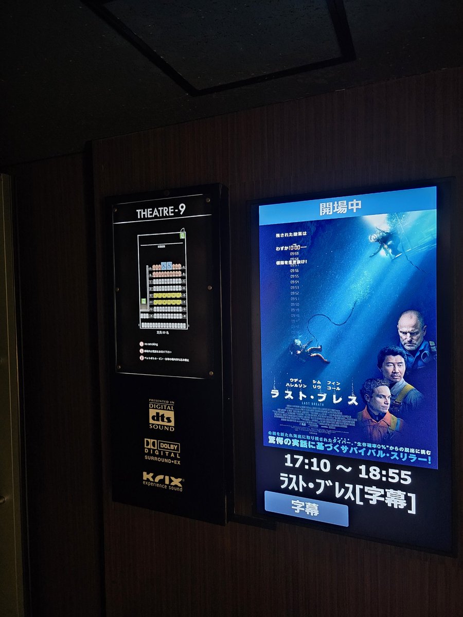 累計1回目のラスト・ブレスを109シネマズ川崎 シアター9 B-9にて