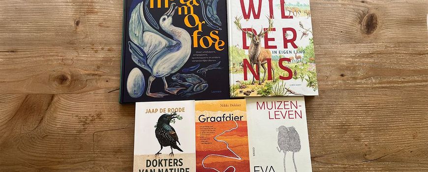 Eva Meijer wint Natuurboekenprijs 2025: De prijs voor het beste natuurboek van Nederland gaat dit jaar naar ‘Muizenleven’ van Eva Meijer. Filosoof Eva Meijer nam vijfentwintig afgedankte laboratoriummuizen in huis. Door met de muizen samen te leven… dlvr.it/TNL5JC