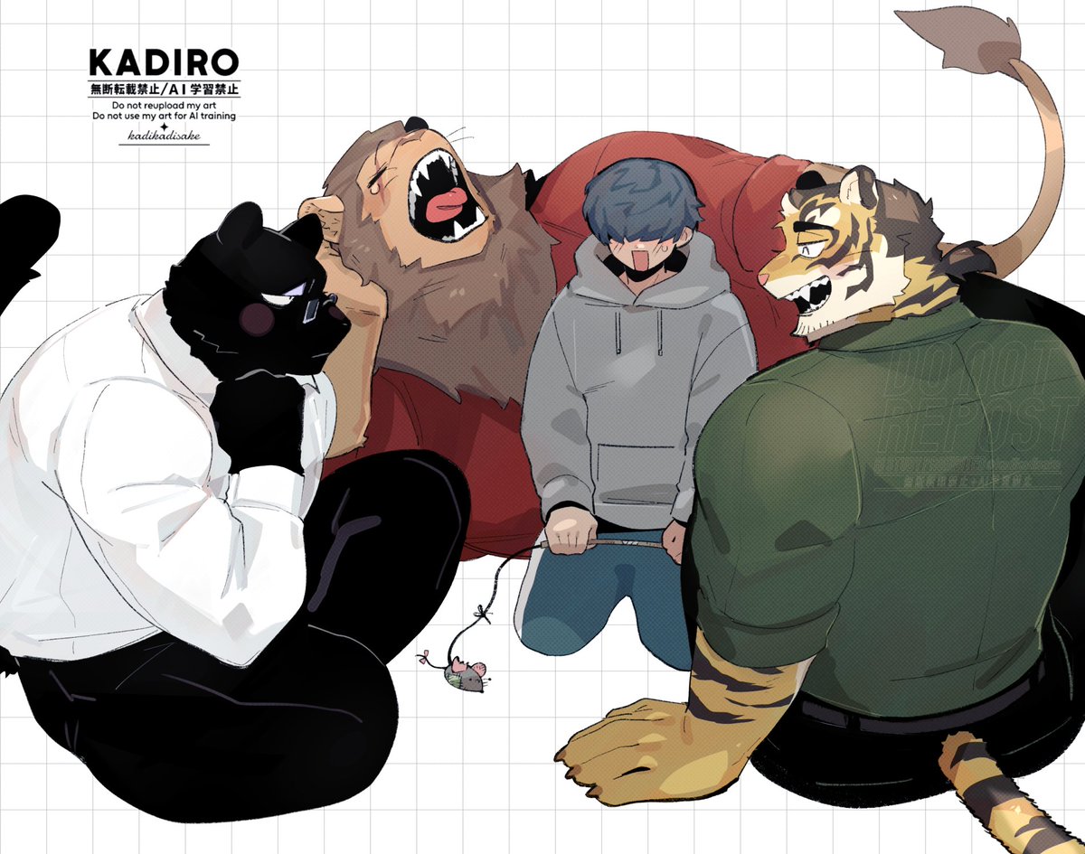 拾った仔猫がかなり立派に育った🐈‍⬛🦁🐯