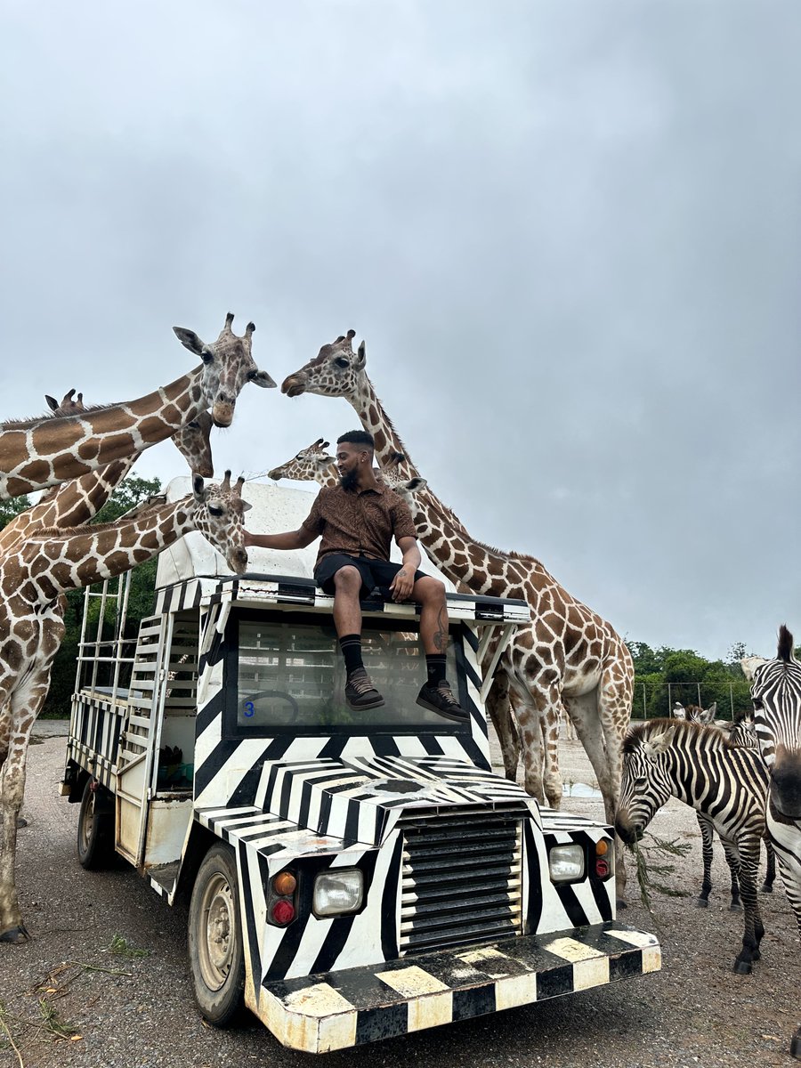 Layzboy27's tweet photo. Zoo https://t.co/hVYDnbIwFa
