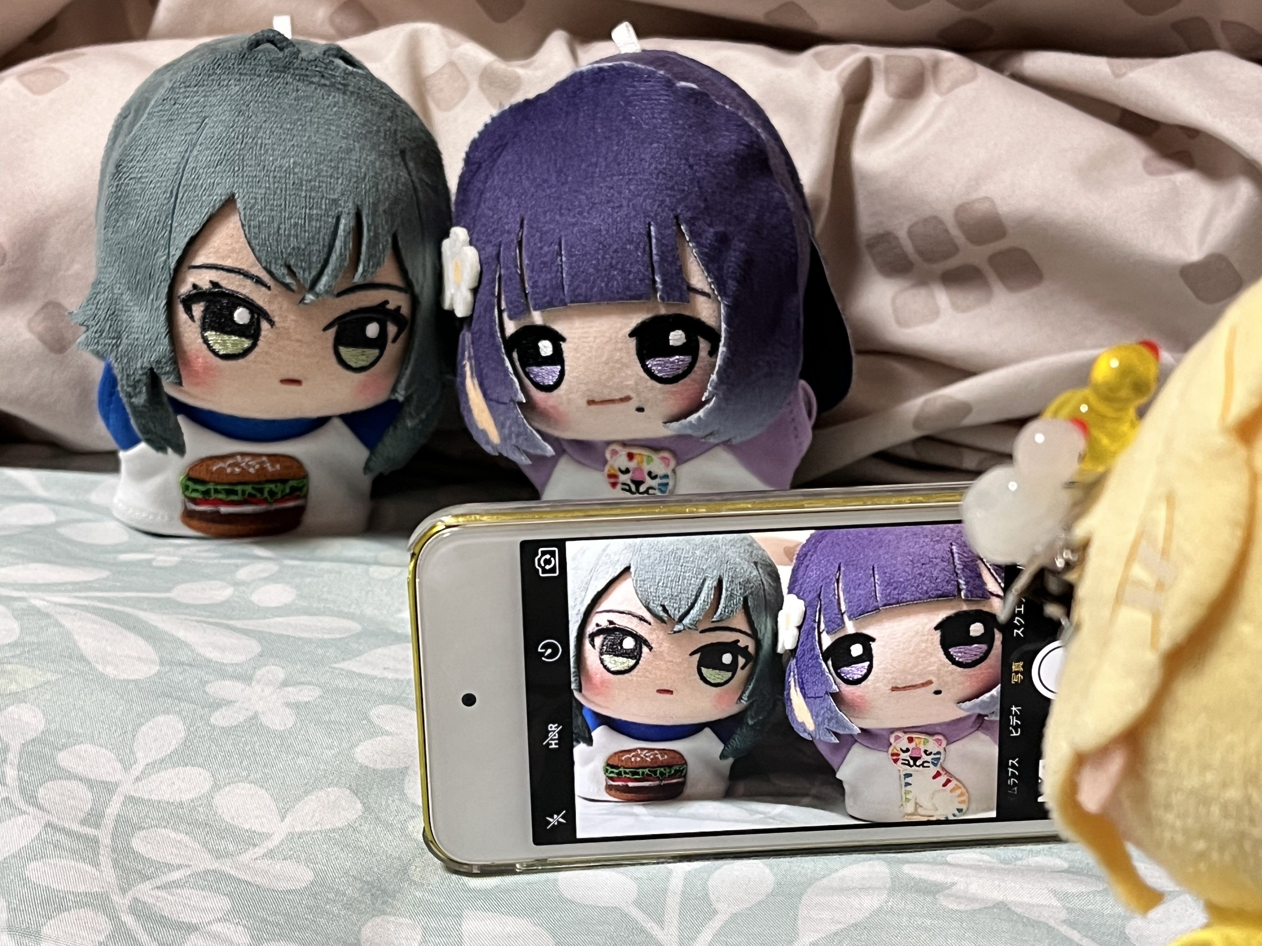 リクエスト❗️　きらめきニャンコ　「瞳はオッドアイ」 照美 ꒰ঌ⎛ಲළ൭⎞໒꒱ (@ID_Alternative) / X